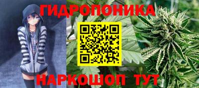 mdma Бийск
