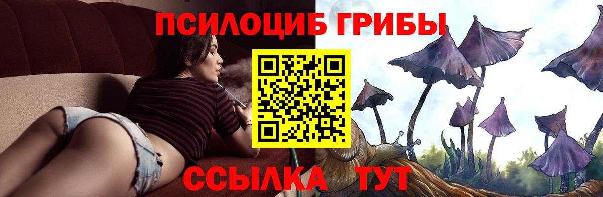 Галлюциногенные грибы Psilocybine cubensis  Вход с VPN  Йошкар-Ола 